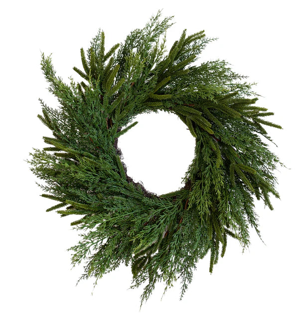 24&quot; Norfolk Cypress Wreath