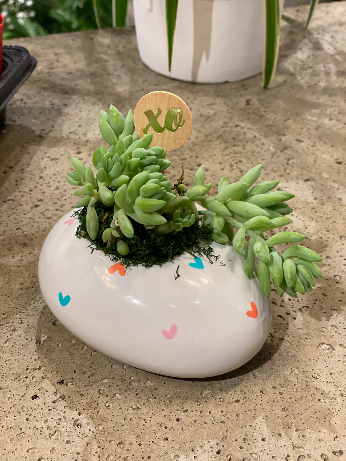Tiny Heart Vase