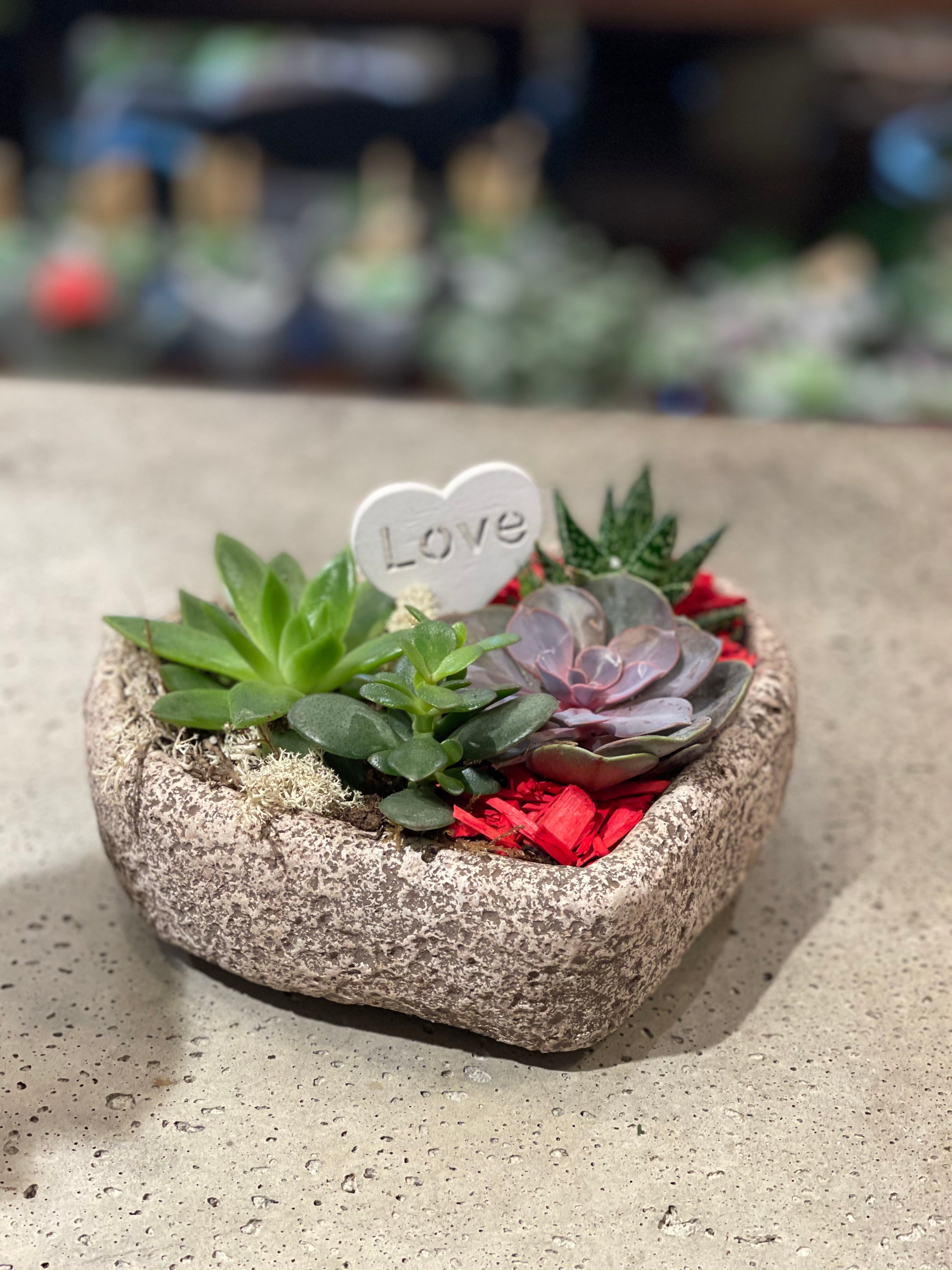 Succulent Stone Heart Planter