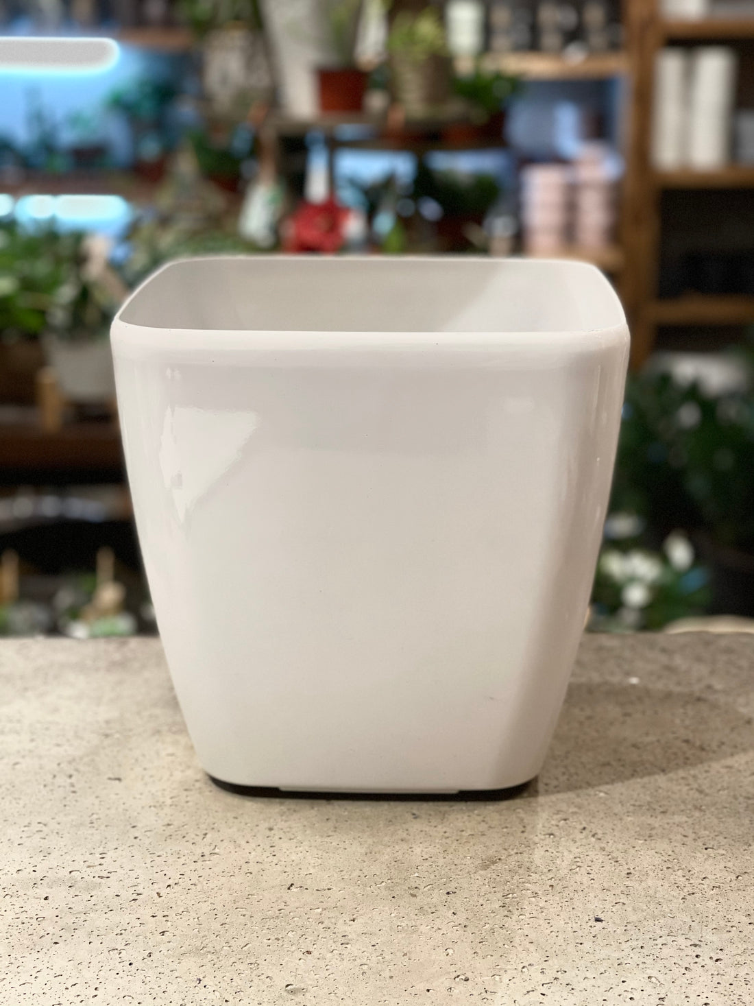 12” Square Pot with wheels