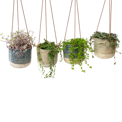 4&quot; Hanging Tropical/succulent planter
