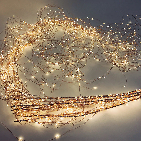 Christmas Lights 48 string