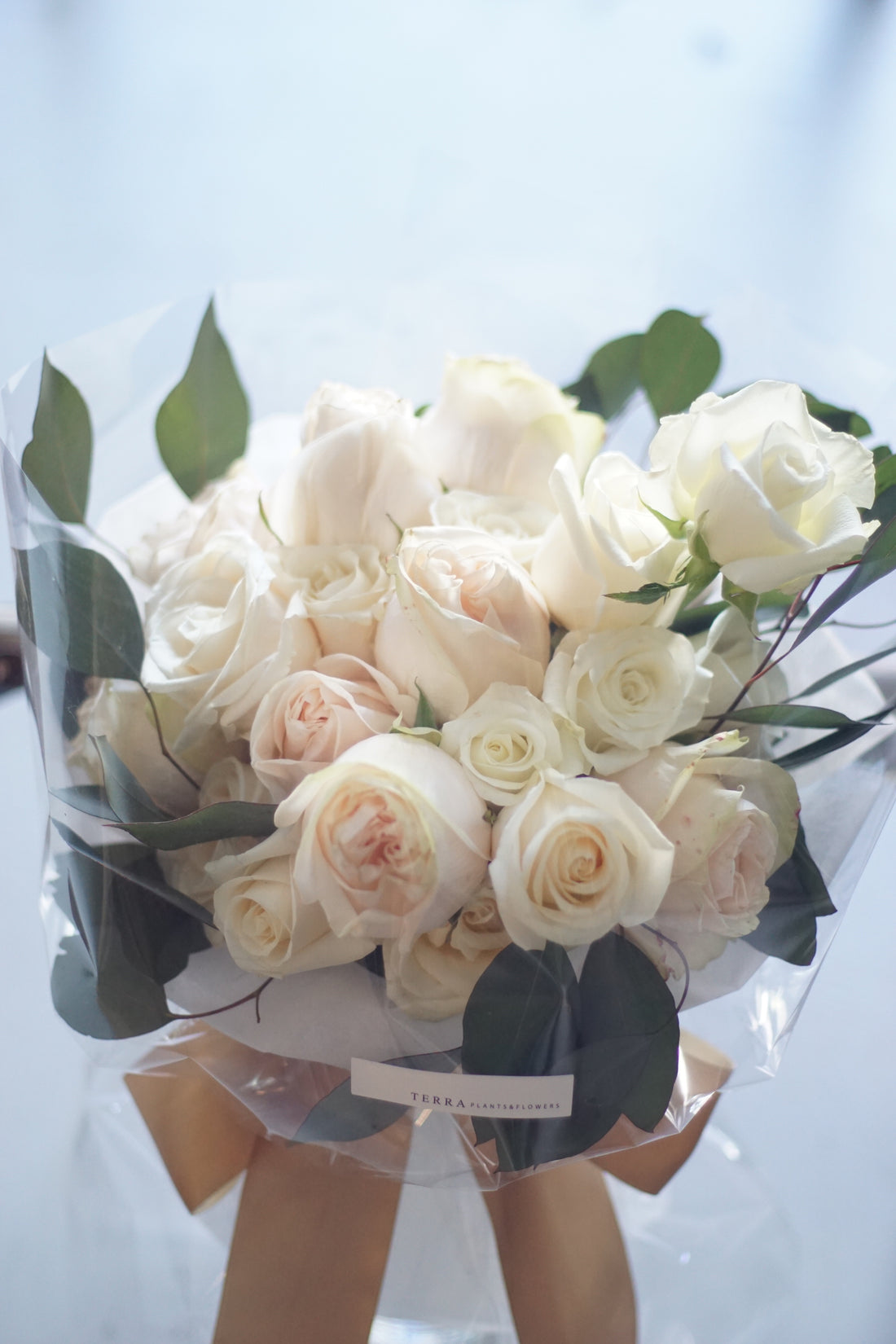 white roses