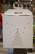 Waxed Amaryllis Bulb in Gift box
