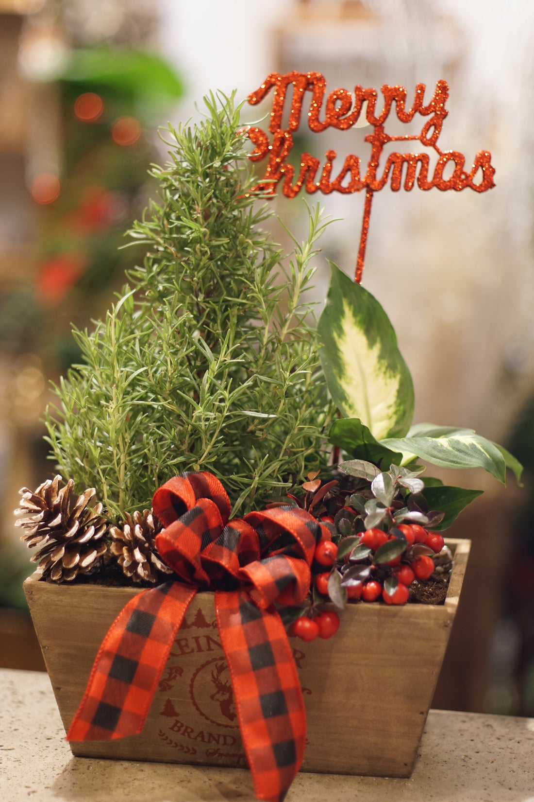 Reindeer Gift basket