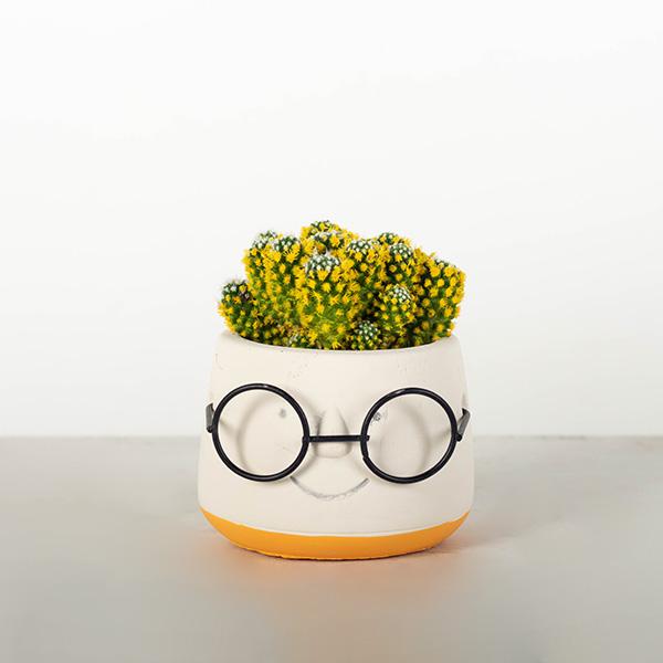 Face With Glasses Cement Pot