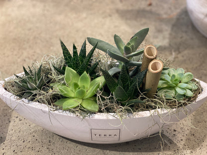 Large White Succulent Boat