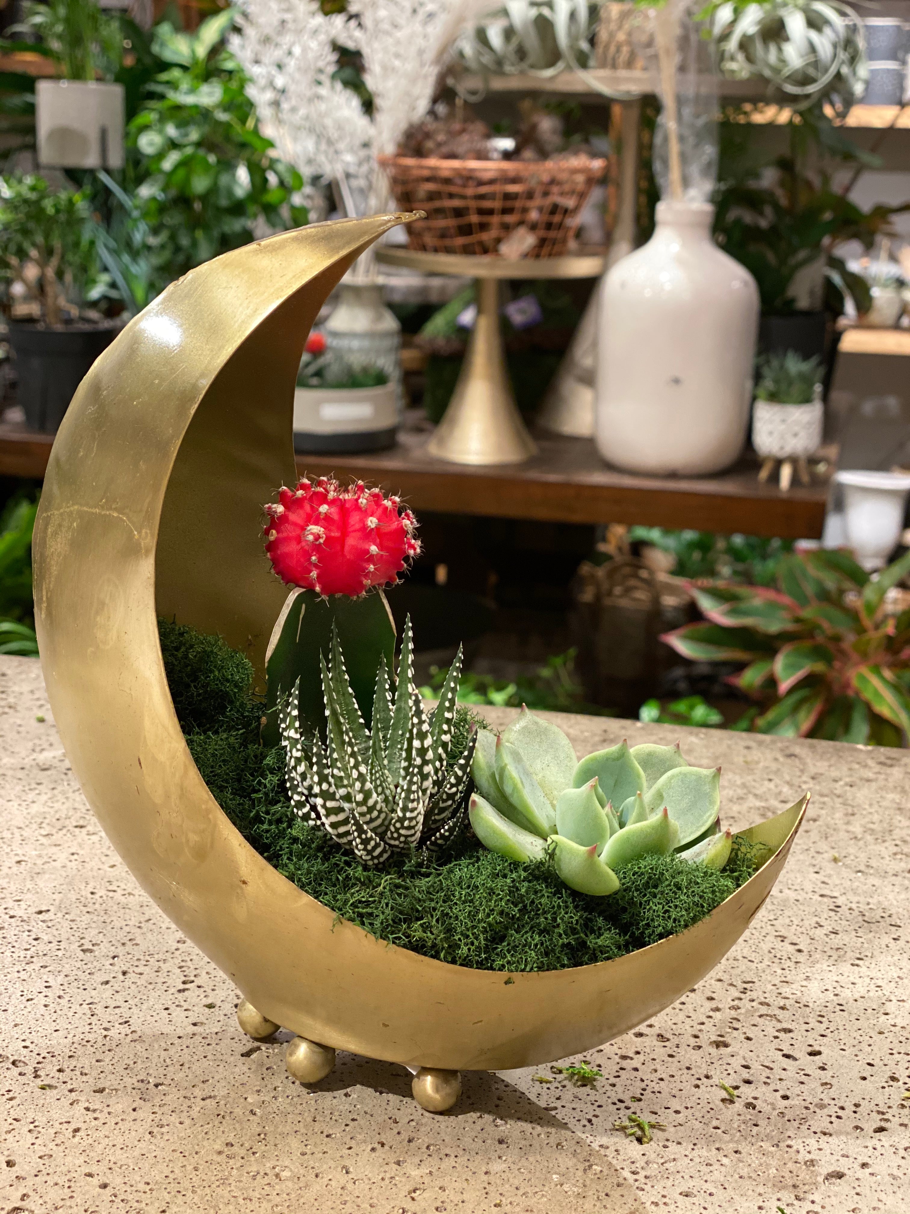 Crescent Moon Planter