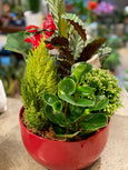 Christmas planter in red 10"
