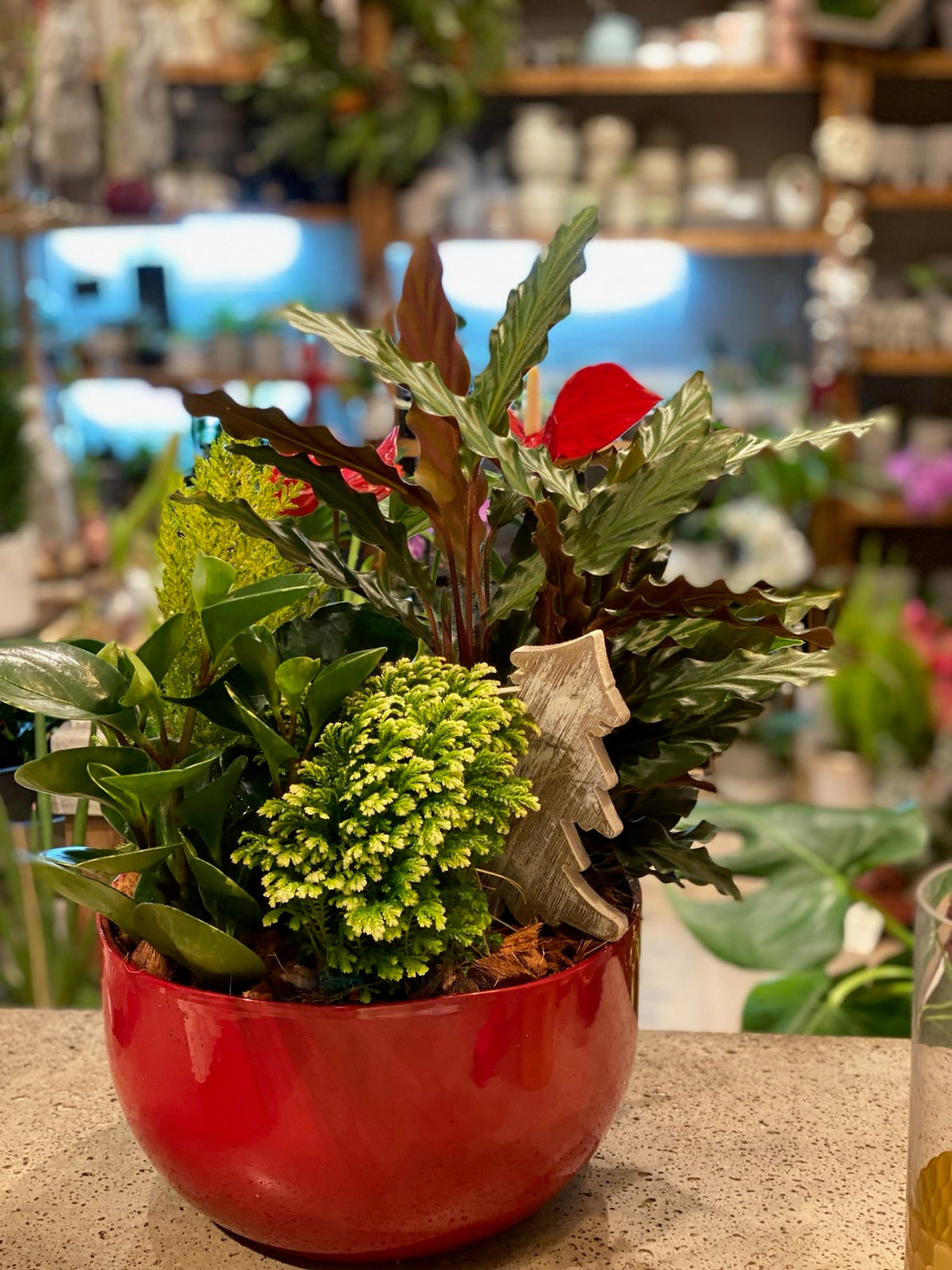 Christmas planter in red 10"