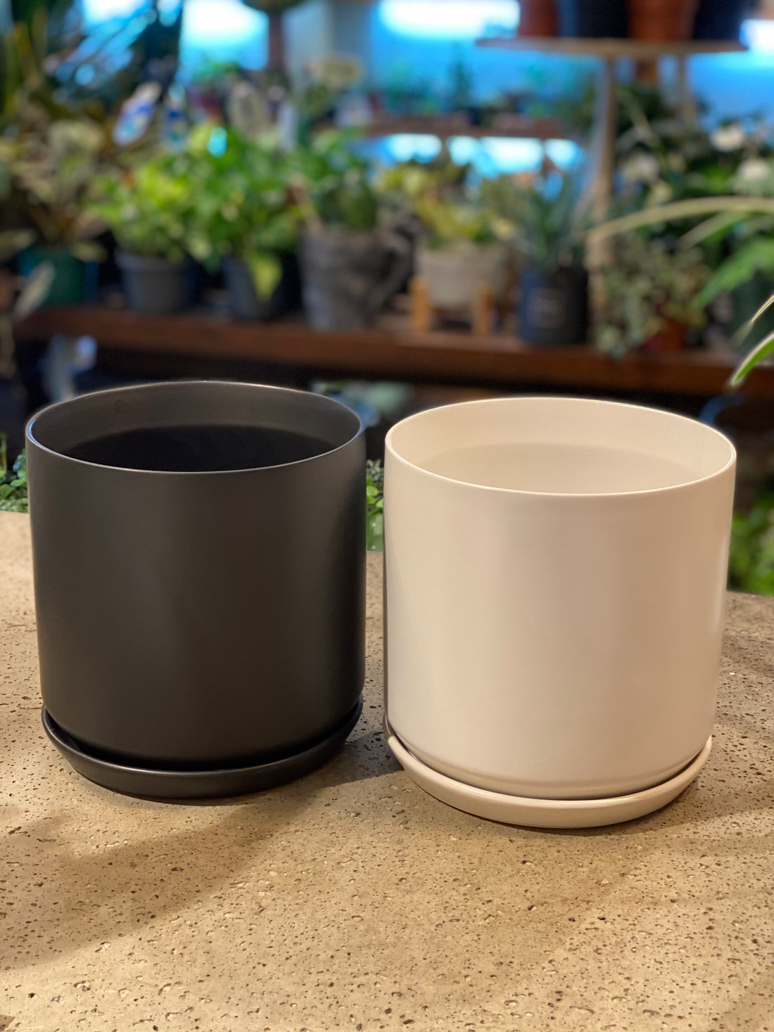 6.75" Modern Black & White Pot