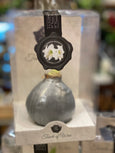Waxed Amaryllis Bulb in Gift box