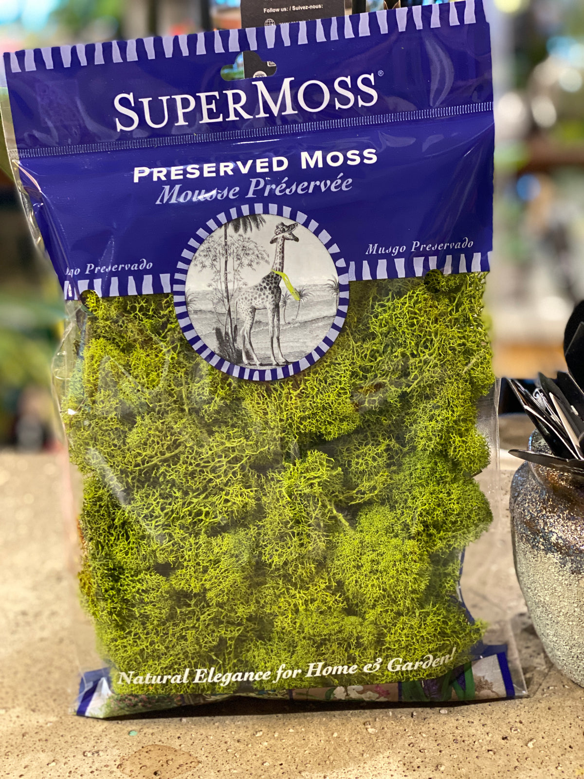 SuperMoss Reindeer Moss 4 oz / Chartreuse