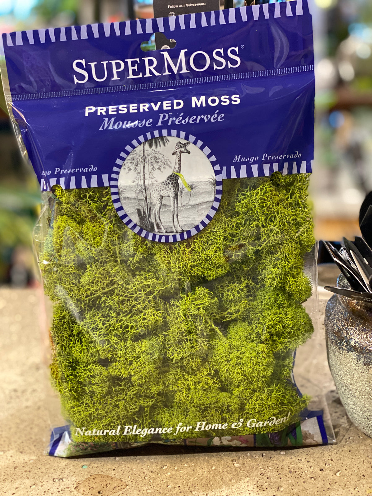 SuperMoss Reindeer Moss 2oz Bag