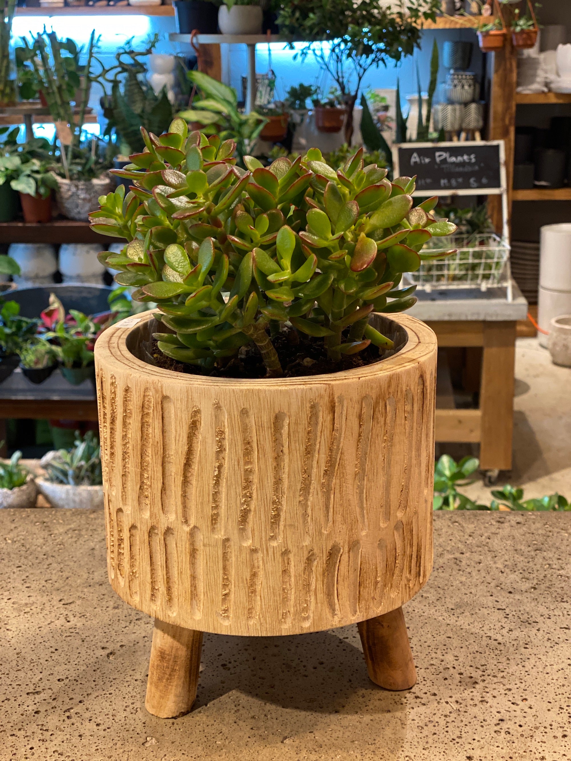 Jade in wooden pot