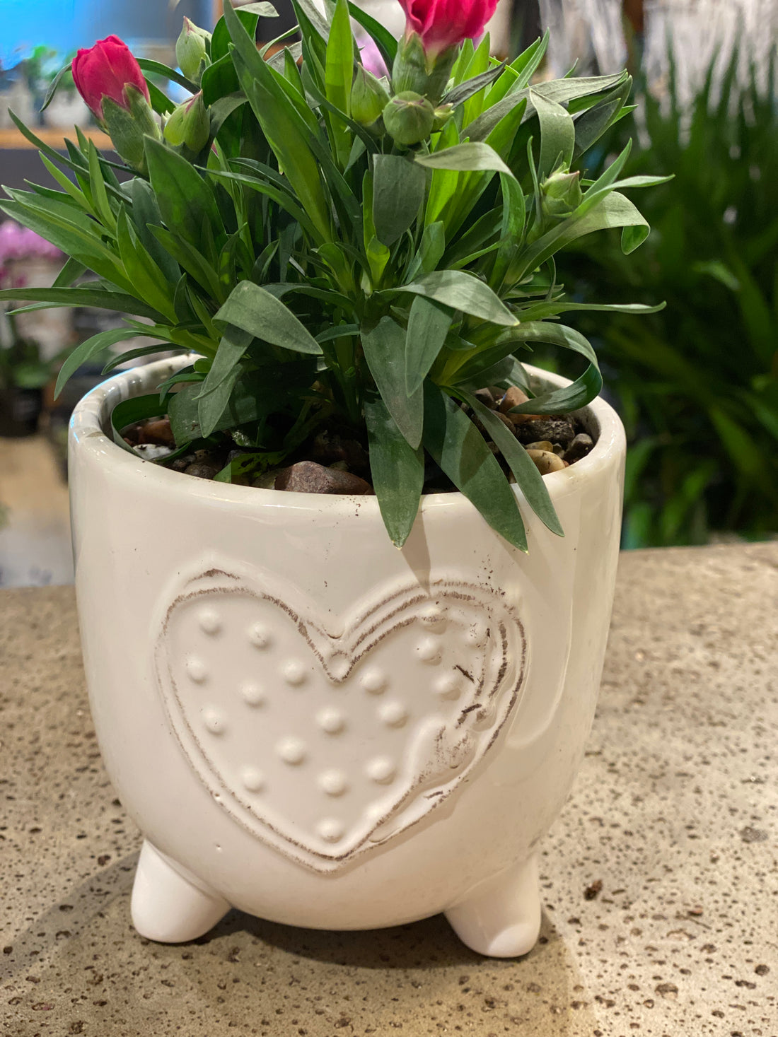 White Dolomite heart pot