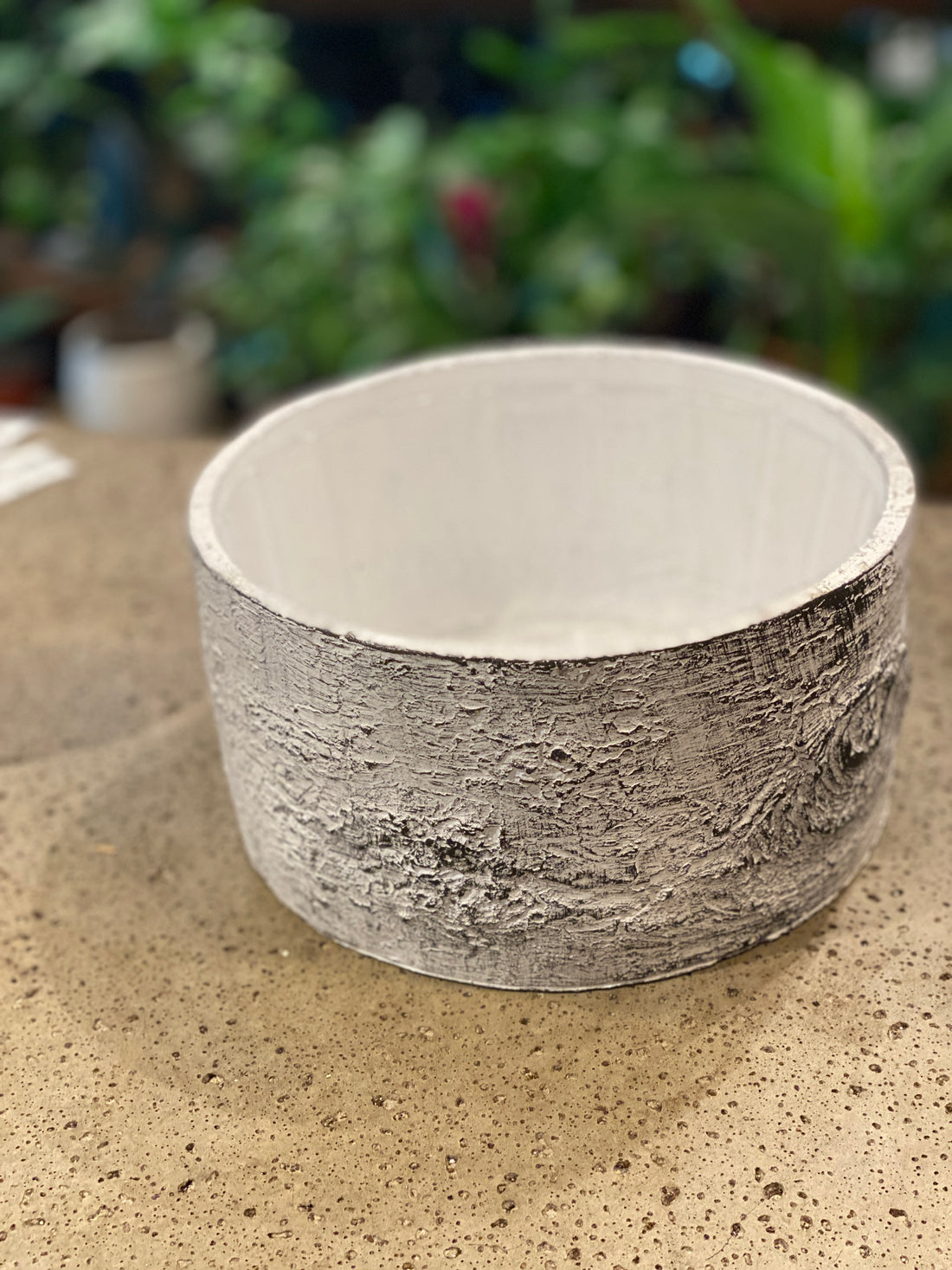Cement 8&quot; Birch Bowl