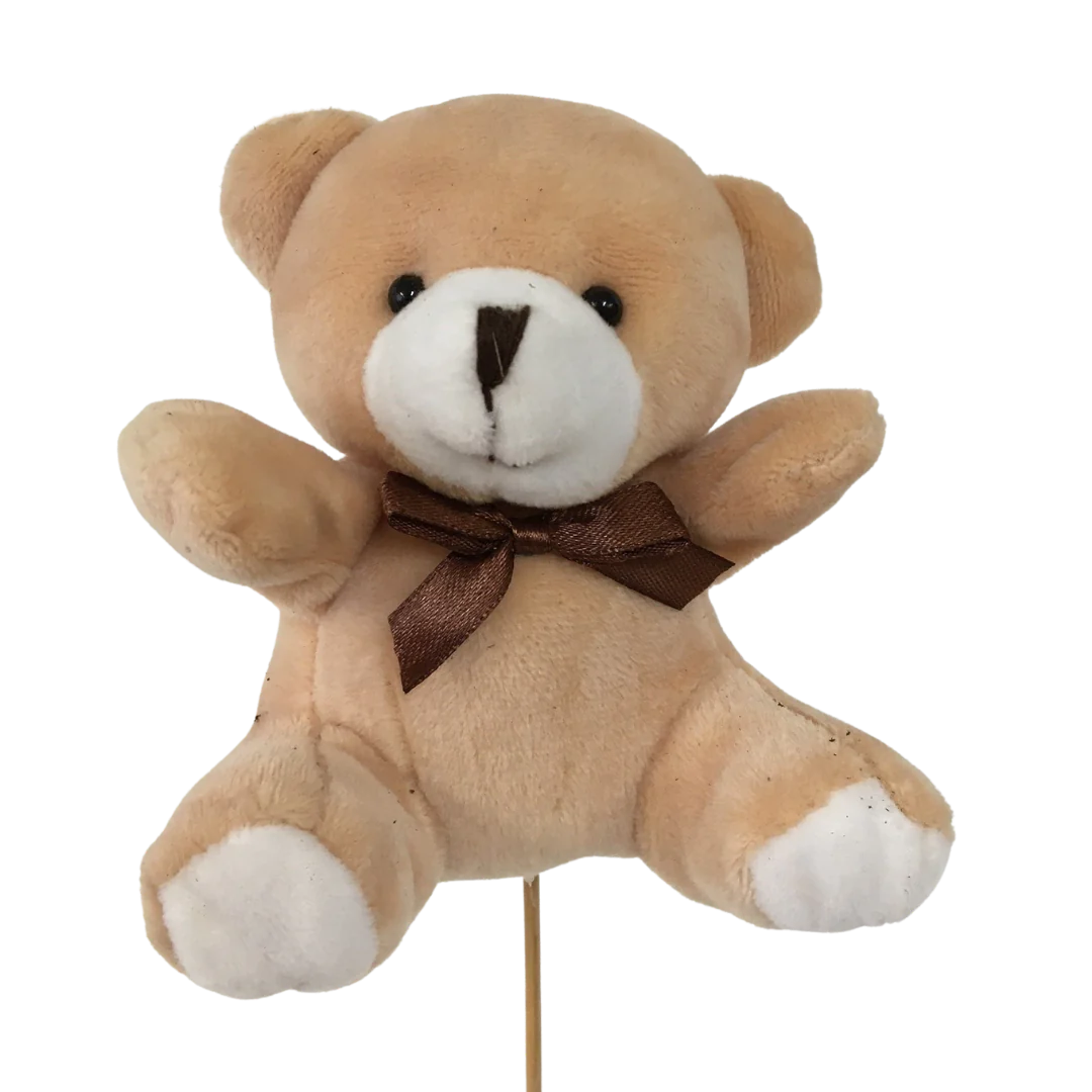 Teddy Bear Pick