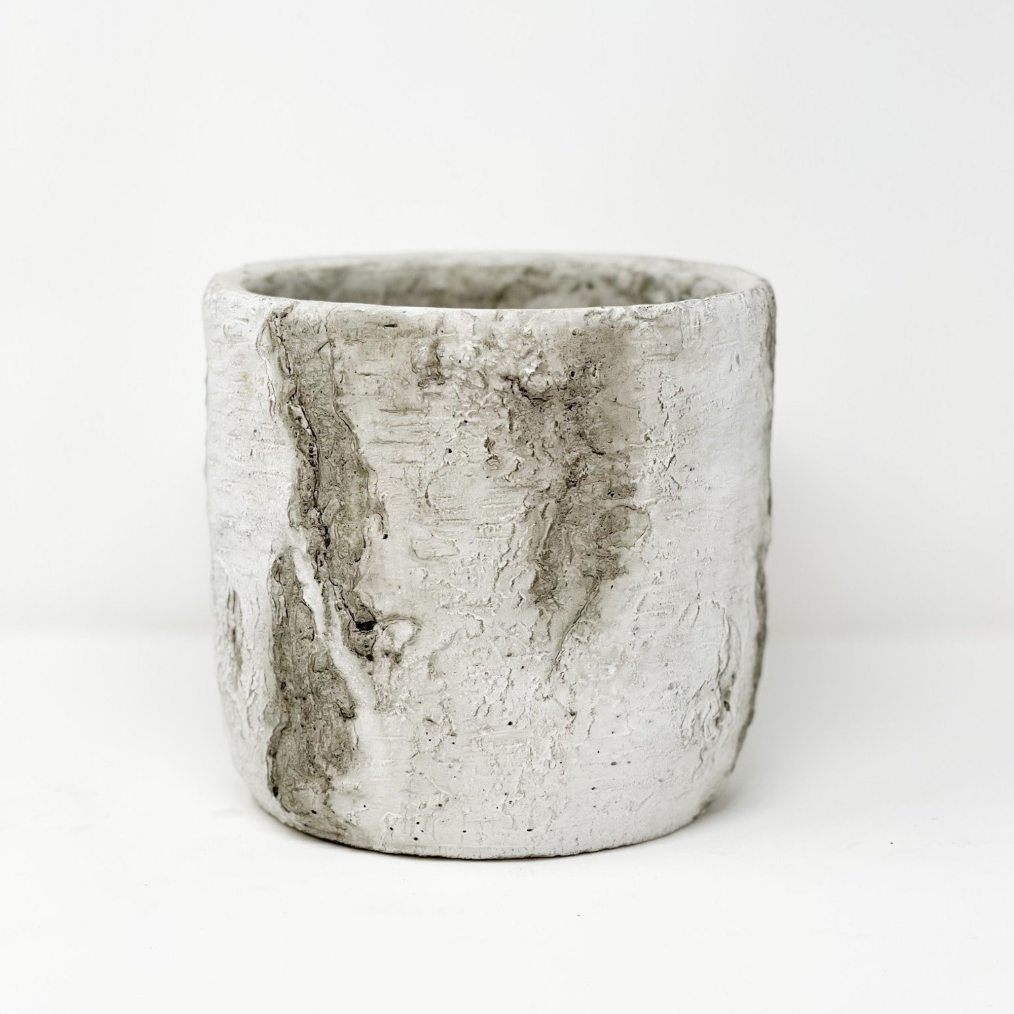 Round concrete birch look pot