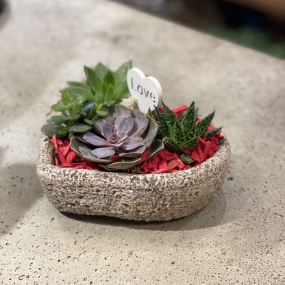 Succulent Stone Heart Planter