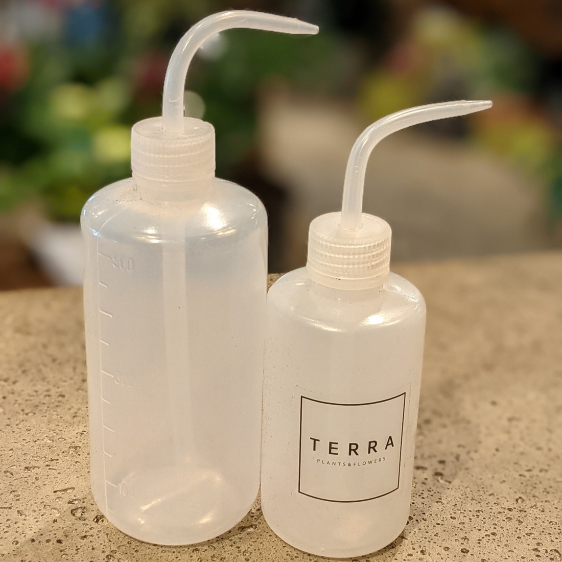 Succulent Watering Bottle