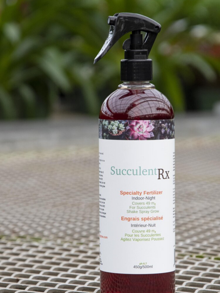 Succulent RX