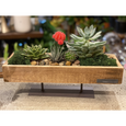 Wooden vintage tray succulent planter