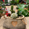 Christmas Cactus and Succulent in Love Basket