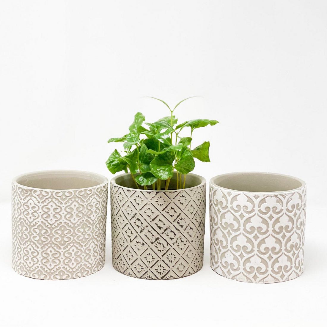 Cement Pots with Patterns