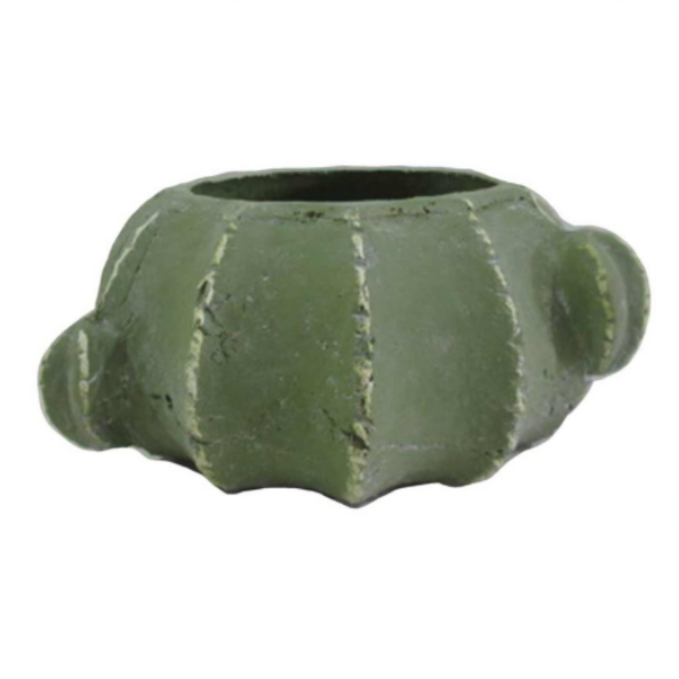 Cactus Cement Squat Pot