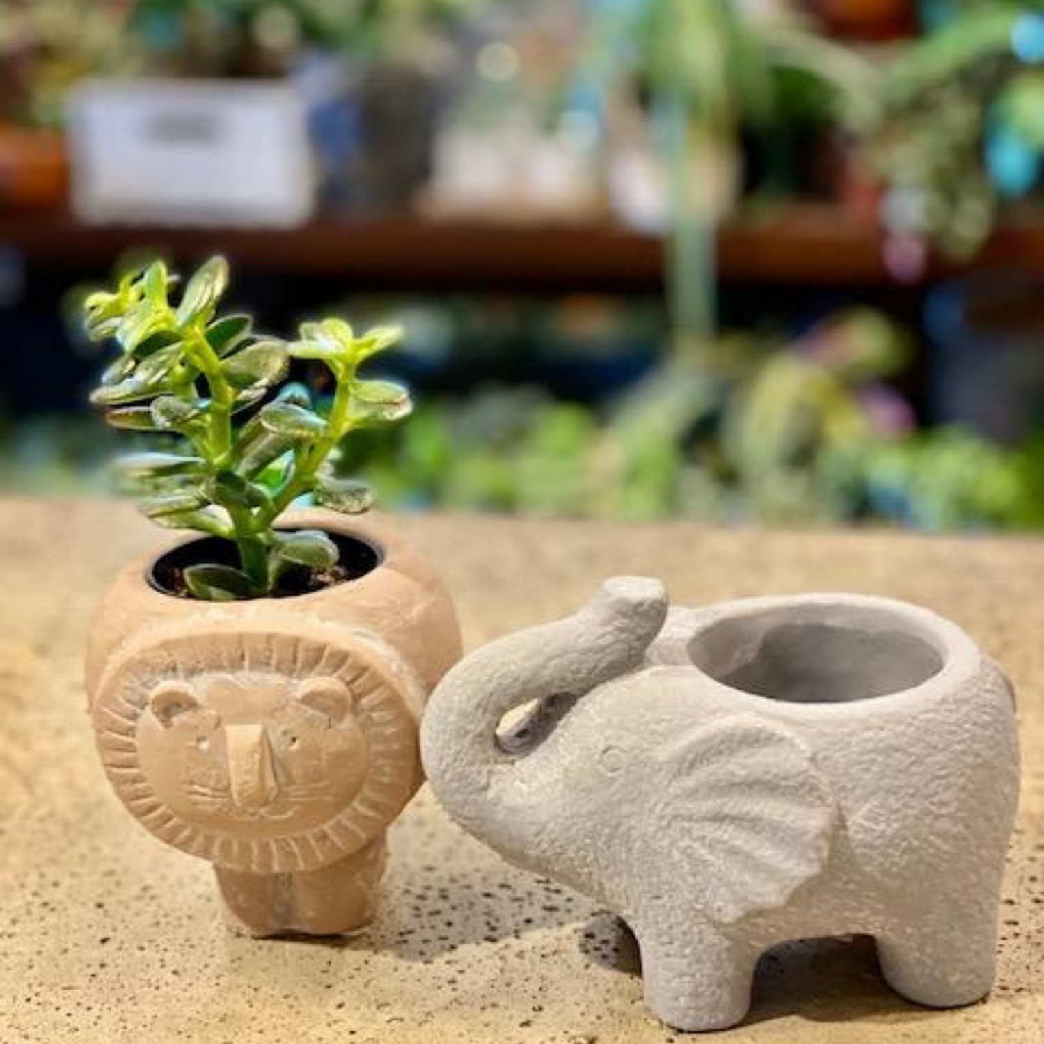 Cement Animal Planters