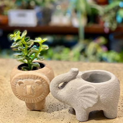 Lion Cement Animal Planters
