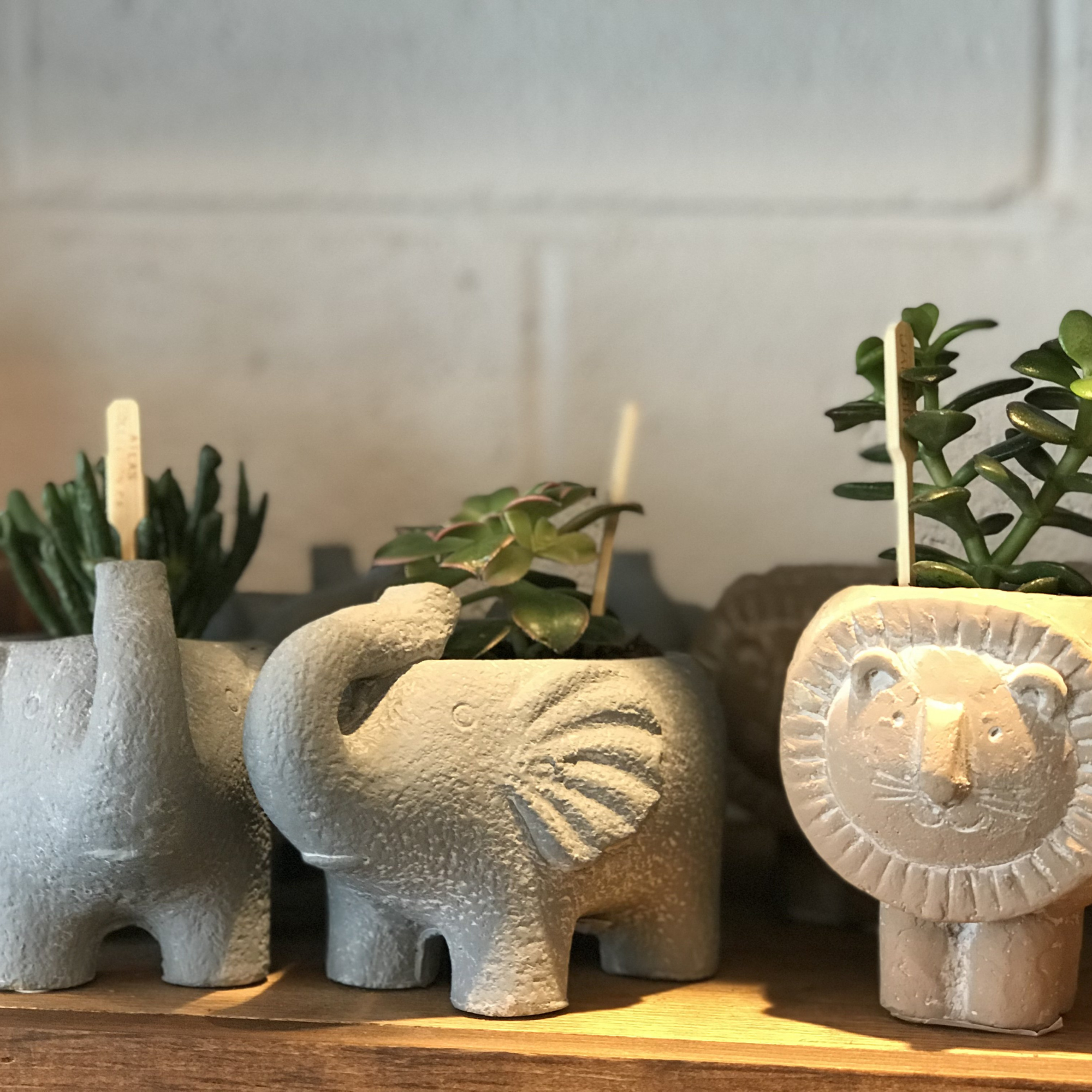 Lion Cement Animal Planters