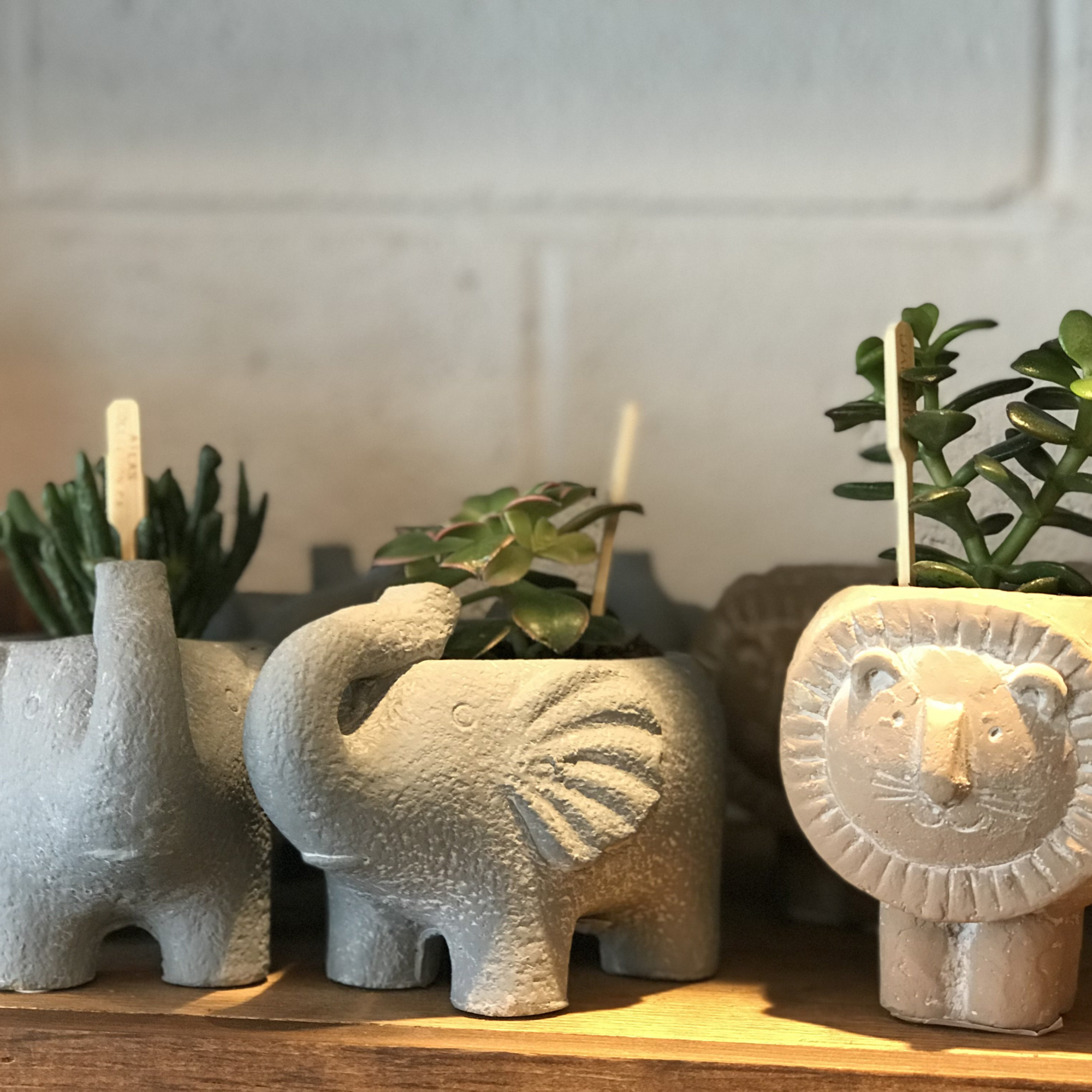 Cement Animal Planters