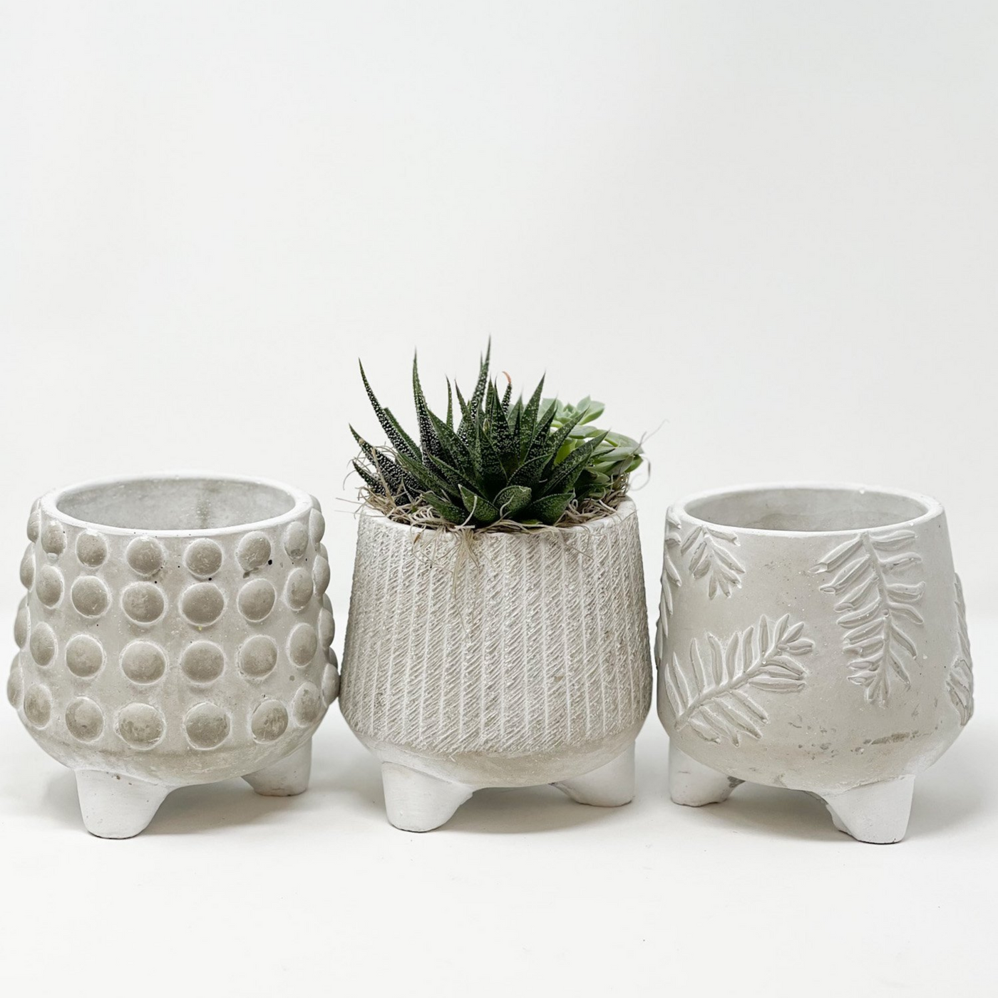 Cement pot with variety styles