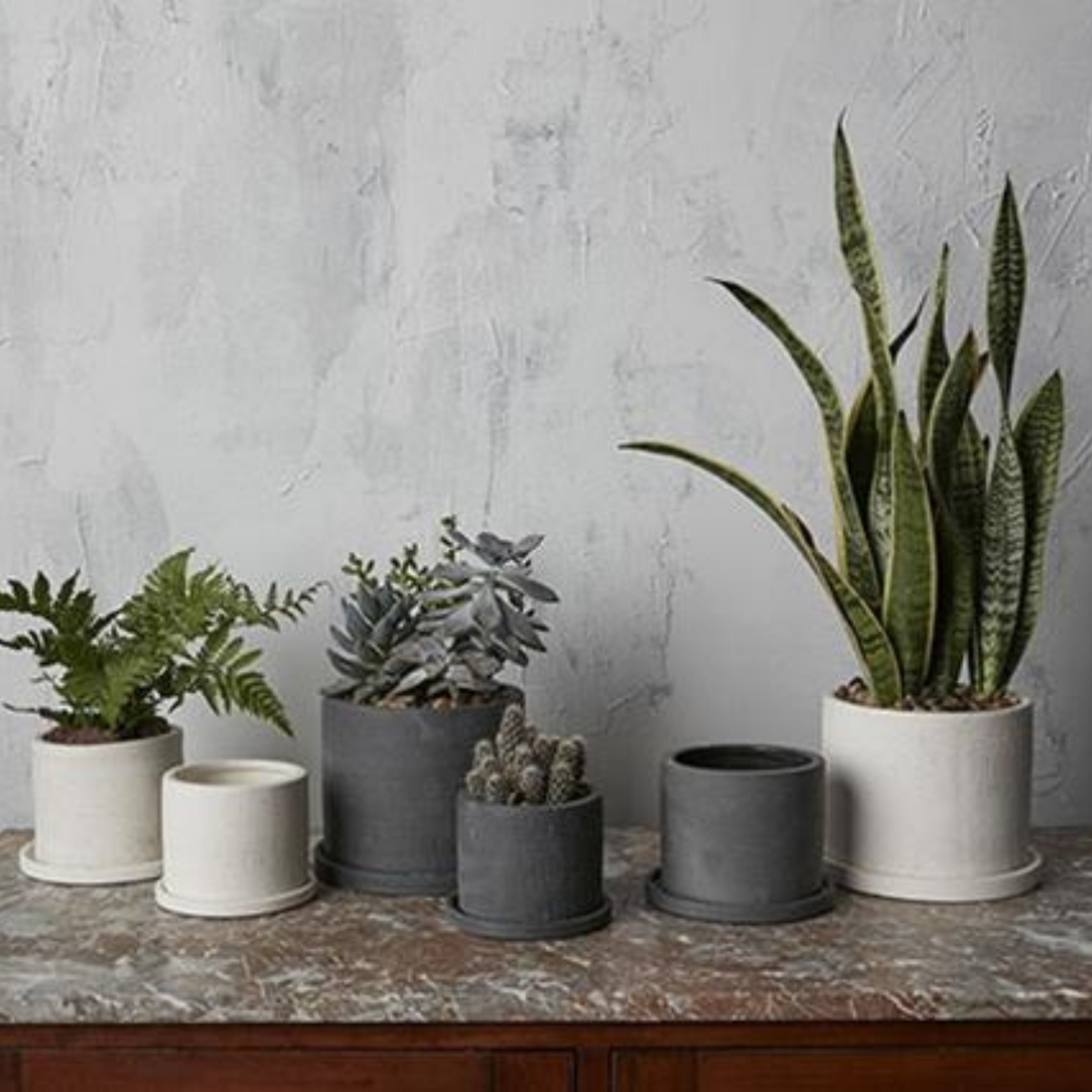 Easton pot
