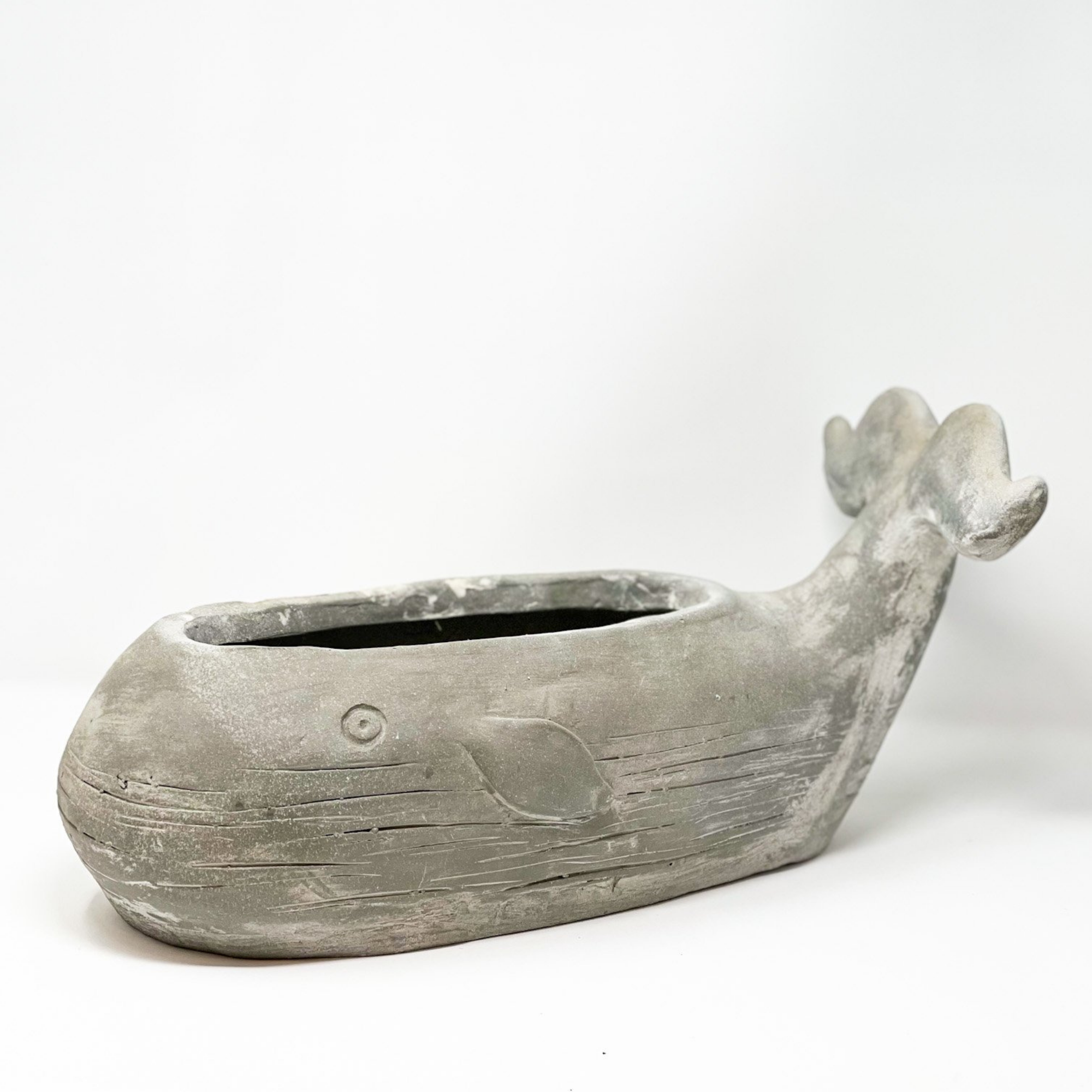 Grey whale planter