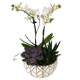 White Leaf Orchid/Succulent Planter