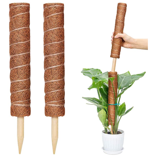 Coconut poles