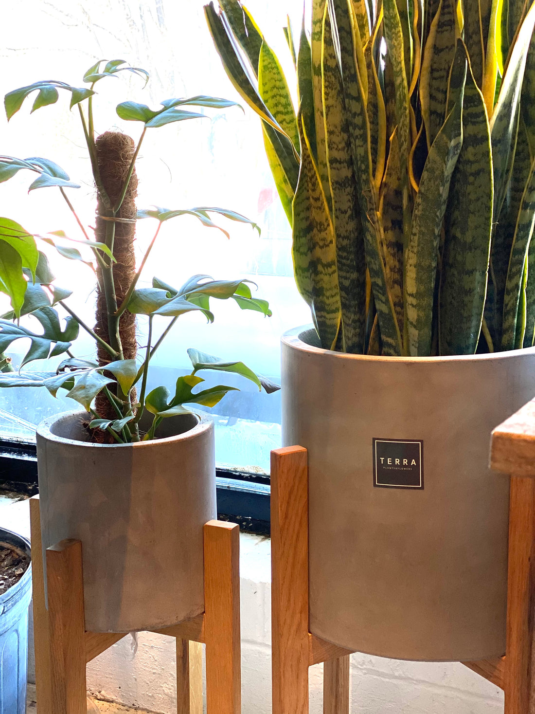 Berlin pot with Stand