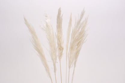 Pampas